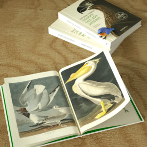 Diario del río Misisipi - James Audubon - Nórdica libros